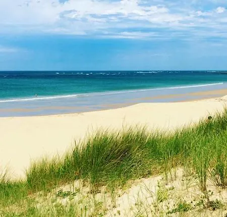 Barataud Saint-Denis-dʼOléron