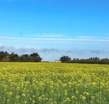 Barataud 3* Saint-Denis-dʼOléron