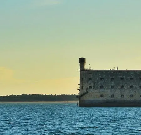 Barataud Saint-Denis-dʼOléron