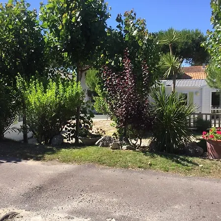 Barataud