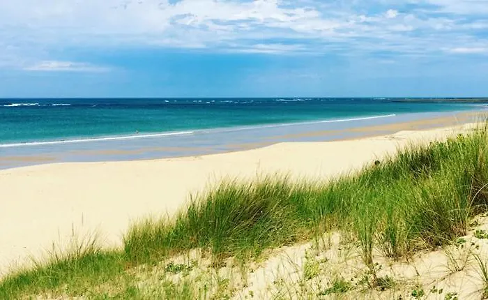 Barataud Saint-Denis-d'Oleron