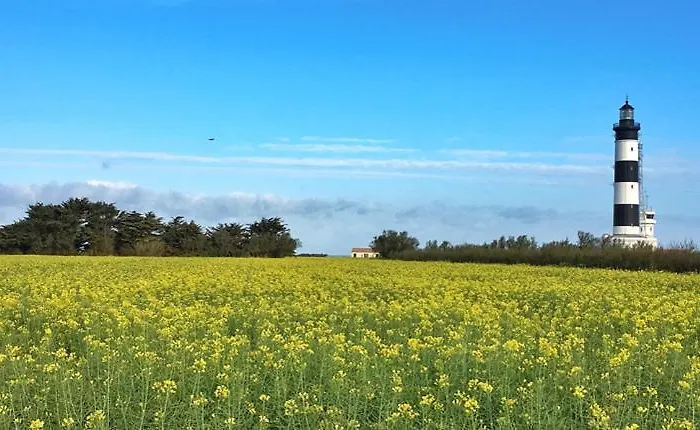 Barataud 3* Saint-Denis-d'Oleron