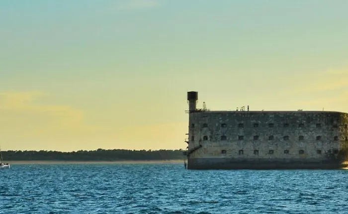 Barataud Saint-Denis-d'Oleron